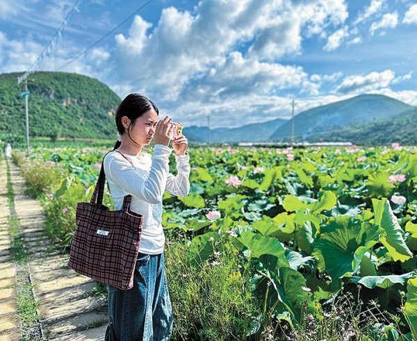 炒股配资app 夏日旅游热