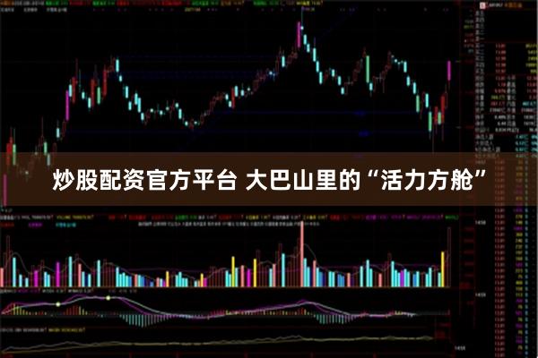 炒股配资官方平台 大巴山里的“活力方舱”