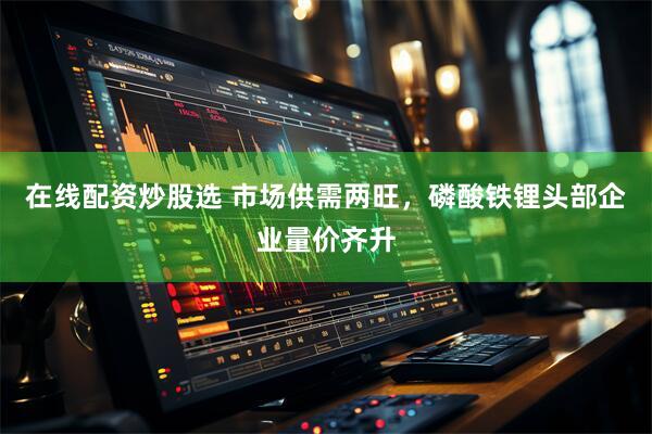 在线配资炒股选 市场供需两旺，磷酸铁锂头部企业量价齐升